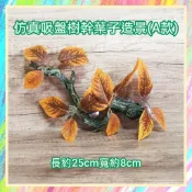 ★爬蟲新樂園★[台灣現貨]高質感仿真樹幹葉子吸盤造景 造型逼真 還原自然氣息 爬蟲飼養箱造景最佳選擇 樹棲爬蟲造景