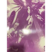 [歡迎光臨模型店] MG 1/100 DESTINY IMPULSE GUNDAM R 命運脈衝鋼彈