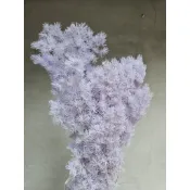 【永生蓬萊松】萬玩時光花藝】【優惠大包裝】台灣發貨A級