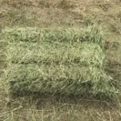 【滿滿牧草屋】天然乾燥牧草10公斤15公斤提摩西一割百慕達苜蓿燕麥草小寵兔子龍貓豚鼠荷蘭豬牛羊馬