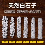 🔥臺灣熱銷灬🔥小白石子 鵝卵石 園藝白石頭 天然雨花石 多肉鋪面 魚缸底砂白色石子 盆栽花盆庭院造景裝飾白色石頭