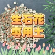 ↠有植感↞ ▮生石花專用土▮ 石頭玉專用土 番杏科專用土 多肉介質 1公升裝 介質 資材 顆粒土 園藝用土