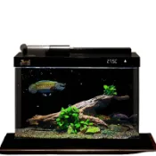風鈴草百貨 【高品質過濾】小型生態魚缸 玻璃鱼缸 客廳裝飾 金魚水族箱 直購家用 防漏靜音