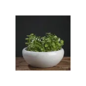 (店+)水缸擺件 水生植盆/陶瓷魚缸大號桌麵養金魚缸烏龜缸碗蓮睡蓮盆荷花缸植物花盆
