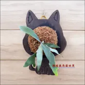 柴犬 上板木材 鹿角蕨 板材 碳化 蘭花 植物 造型板 植栽板 空氣鳳梨 材料 蕨類 上板木頭