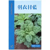 【野菜部屋~】E50 羽衣甘藍種子1兩(約 14500顆) 風味濃 採收期長~