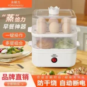 永耐力 蒸蛋器 自動斷電 家用煮蛋器 宿捨蒸鍋 小型 多功能 鷄蛋早餐神器 SYI2