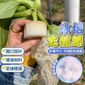 (店+)台灣現貨 ️多種尺寸 定植棉 海綿 水耕海綿 海棉 定植籃 定植杯 育苗棉 定植海綿 水耕泡綿 園藝 水培 水耕 育苗