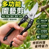 有貨在臺🛒多功能園藝剪刀 修枝剪 園林剪 工具剪刀 園藝剪 花枝剪 樹枝剪 樹剪 花剪 果樹剪 嫁接剪 檳榔剪 JTOQ
