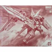 鋼普拉 eye攝影 【鋼普拉】現貨 PB魂商 BANDAI MG 1/100 GUNDAM ASTRAY RED DRAGON 紅龍型紅異端