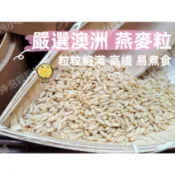 【沖泡穀粉小舖】《嚴選澳洲 燕麥粒》未磨粉/ 粒粒飽滿 高纖 易煮食~精選雜糧~||夾鏈袋真空包裝 || 燕麥 燕麥仁