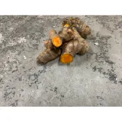 [嘉禾田農產果園］生紅薑黃 生黃薑黃 紅薑黃粉 黃薑黃粉 薑黃膠囊