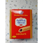 雙盟巧克力酥棒100g(效期:2027/03/01)市價45特價35元