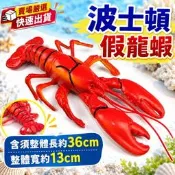 【現貨】【三峽可自取】仿真龍蝦 螃蟹模型 大龍蝦玩具 仿真塑料動物 仿真龍蝦海鮮螃蟹 假波士頓龍蝦模型道具