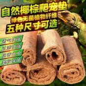 💘奇物小店💖爬寵箱墊子用品守宮椰棕墊材絲寵物活體造景墊爬蟲龜飼養箱椰絲