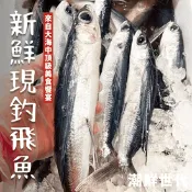 【生活市集】【鮮到貨】基隆港新鮮現釣飛魚/1包1kg 約3-5尾/飛魚/居酒屋/燒烤/烤肉/