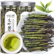 苦丁茶2024新鮮大葉苦丁茶正宗毛冬青海南特產花草茶罐裝qswj