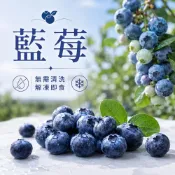 (店+)【綠之醇】冷凍藍莓｜精緻盒裝｜400g