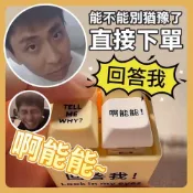 回答我語音吊飾 語音吊飾 會說話的鑰匙圈 搞笑語音公仔吊飾