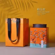 TZ*茶葉罐高檔密封罐家用防潮茶葉罐子鐵罐半斤一斤儲存罐小青柑茶罐