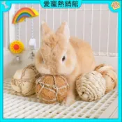 ✨熱銷✨兔子磨牙草球 天然編織 提摩西草球 小倉鼠 豚鼠 解悶玩具 零食 啃咬用品 天然牧草啃咬球 🌈桃園出貨