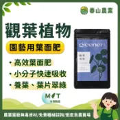 【島農】綠點園藝 觀葉植物 葉面肥 觀葉植物 龜背芋 鹿角蕨 金錢樹 水耕 育苗 開葉 發葉走蔓