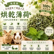 ※兔老爺※寵物 乾燥薄荷葉  香草植物 薄荷葉 兔子/倉鼠 牧草 兔點心 兔零食 保健 小動物點心