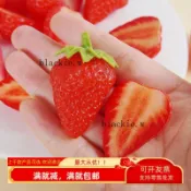 🔥優惠🔥仿真草莓片模型假的水果蔬塊奶油膠蛋糕裝飾品展示拍攝早教玩道具325
