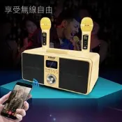 SD309 雙人伴唱藍芽音箱 sdrd貓頭鷹音箱家庭 行動KTV全民k歌神器無線雙人伴唱藍芽音箱