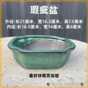 多肉花盆 陶瓷花盆 紫砂盆 長方形花盆 微瑕特價清倉 多肉植物盆栽 盆景花器 粗陶盆 陶盆 盆器 橢圓 植栽 辦公室