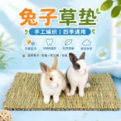 🔥現貨🔥天然牧草稻草墊 兔子小寵腳墊 磨牙啃咬草編蓆 倉鼠天竺鼠龍貓適用 籠內休息防滑用品 睡窩鋪設造景配件四季日