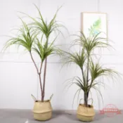 連盛 仿真馬尾鐵樹 室內假巴西龍血樹綠植盆栽客廳裝飾盆景