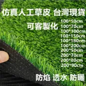 (店+)嘉義現貨 防曬防水特密透水防焰 超仿真人工草皮 拍照道具 娃娃機草皮 假草皮 塑膠草皮 人造草皮隔雨聲 隔滴水聲 隔音墊