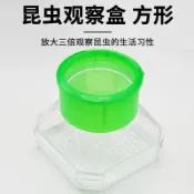 協貿國際日用品生活館 昆蟲盒昆蟲觀察盒帶3倍放大鏡收集飼養昆蟲透明亞克力觀察昆蟲盒