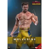 頑聚同樂會 預購 HOT TOYS MMS756 死侍與金鋼狼 金鋼狼 外套版