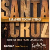 Santa Cruz DADGAD Low Tension 特殊調弦低張力 民謠吉他弦【他,在旅行】