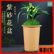 蘭花盆 紫砂盆 陶瓷花盆 透氣 簡約 蝴蝶蘭 專用 粗陶盆 素燒盆 辦公室 桌面 盆栽 擺件 花器 盆器 園藝用品