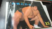 【Nov20xt】《相撲大力士》無CD，無導讀手冊│東西出版│七成新