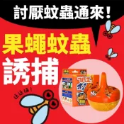 果蠅捕捉盒現貨外銷日本第一品牌 專利技術果蠅捉捕盒 果蠅誘捕器 🔥日本銷售 No.1🔥果蠅捕捉器🔥 果蠅沾黏  誘捕神器