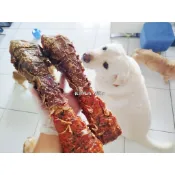 潔牙 磨牙 耐啃 大狗神奇 雙色牛大骨 一邊是鴨肉一邊是雞肉更加美味