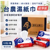現貨 ❤️台農濕紙巾 超厚款 80抽｜純水 無酒精 無香精 不刺激｜嬰兒可用 居家清潔 外出必備｜12包/箱 一單一箱