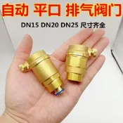黃銅自動單向排氣閥扣太陽能水暖快速側排閥單向閥管道頂部