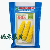 原包裝 1磅 金佳人黃金水果玉米種子 約3400粒 黃金水果玉米種子 水果玉米種子 金佳人玉米種子 甜玉米種子 玉米種子