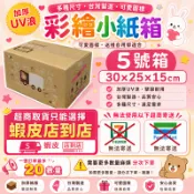 三層瓦楞紙箱 【彩繪設計，不加價】 5號箱   30*25*15  彩繪紙箱   紙箱 小物包裝  小紙箱