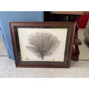 香榭二手家具*天然海鐵樹珊瑚 裝飾掛畫-貝殼砂畫-壁畫-珍藏樹枝掛畫-裝飾畫