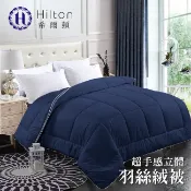 Hilton 希爾頓。五星級酒店專用 超手感立體羽絲絨被/3.5KG(B0828-H30)