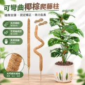 ✨💥熱銷 臺灣出貨 免運💥 【可彎曲】🌿椰棕爬藤柱 龜背竹綠蘿支撐桿 植物防倒伏支架 藤蔓固定矯正桿 常春藤 爬藤 椰纖