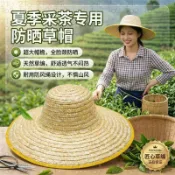 2TO2🔥夏天遮陽帽 草帽 1尺6 1尺8 48公分54公分 帽簷特大款 遮陽效果極佳 超大 斗笠 遮陽帽 園藝用具