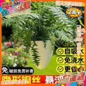 網紅垂吊吊蘭花盆懸掛式塑料吊籃懶人綠蘿常春藤狼尾蕨花盆加厚