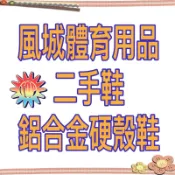 【風城體育用品】二手鋁合金硬殼直排輪Specter.Hungta鴻達.多輪多(蝦皮店到店免運）